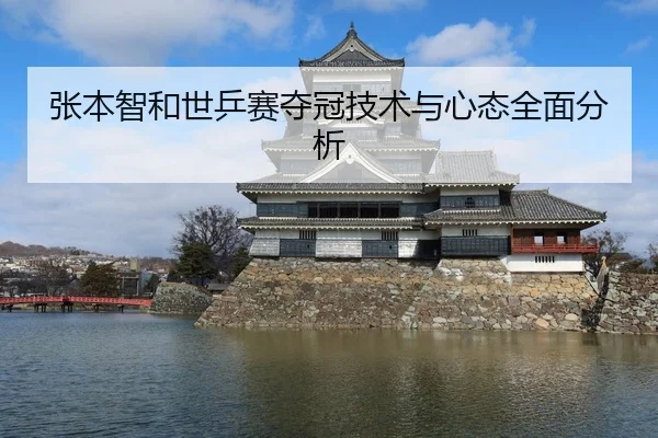 张本智和世乒赛夺冠技术与心态全面分析